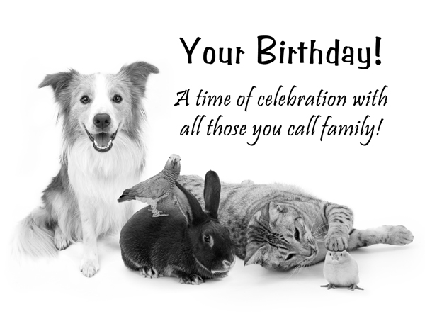 Your Birthday_Misc Pets.jpg