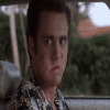 NEW.gif