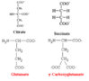 molecular structures of answer choices.jpg