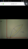 Screenshot_2016-05-16-06-34-47.png