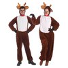 reindeer outfit.jpg