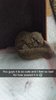 Snapchat-382307567.jpg