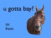 15F00F35-16E5-4765-99FE-EE9DD0773655.jpeg