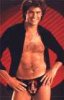 hasselhoff.jpg