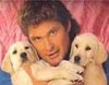 hasselhoff pupies.jpg