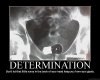 determination.jpg