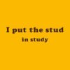 studinstudygold.jpg
