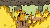 this-is-fine-anxiety.gif