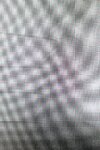 IMG_2471.jpeg