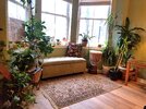 20201214_123738.jpg