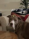 IMG_6348.jpeg