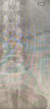 IMG_2520.png