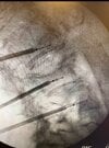 IMG_2075.jpeg