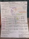 IMG_3007.jpeg