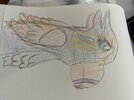 IMG_2053.jpeg