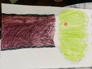 IMG_2069.jpeg