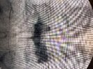 IMG_8597.jpeg