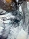 IMG_1737.jpeg