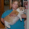 fat cat.jpg