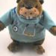 Junior Beaver