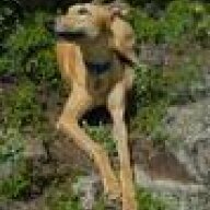 Chebanse