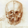 Lanceto Da Vinci