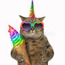 RainbowCat