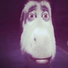 DrRufusMD