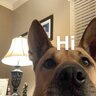 Zoomzzoom