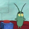 Plankton2