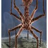 Bacteriophage-