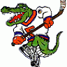 GatorHockeyDoc