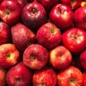 applesarecool
