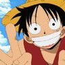 luffy4313