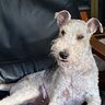 Toby77