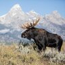 johncolter