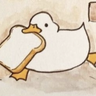 duckgoesquack