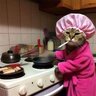 apprehensive-cat