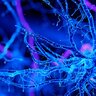 hopefulpremed53