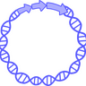 EpigeneticPlasmid