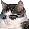 ImNotACat