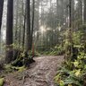 andjossau