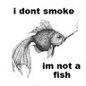 SmokeyFish