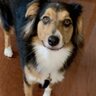 Nellie_011