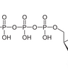 Adenosinetriphosphate+1