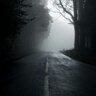 Grayroad