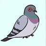 Pigeon360