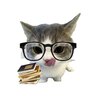 i<3cats