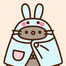 pusheen_lover