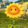 SunnyDash